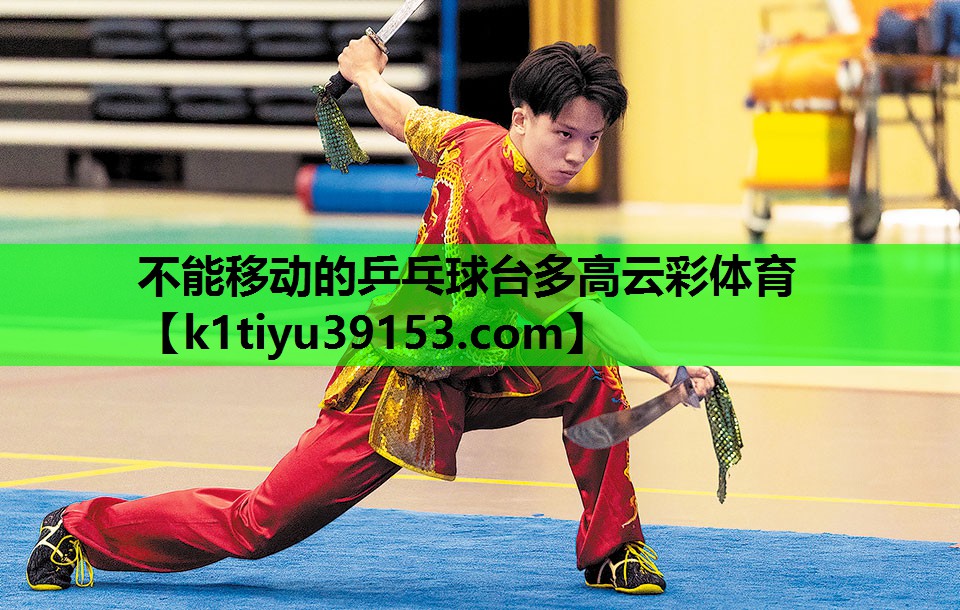 不能移动的乒乓球台多高云彩体育